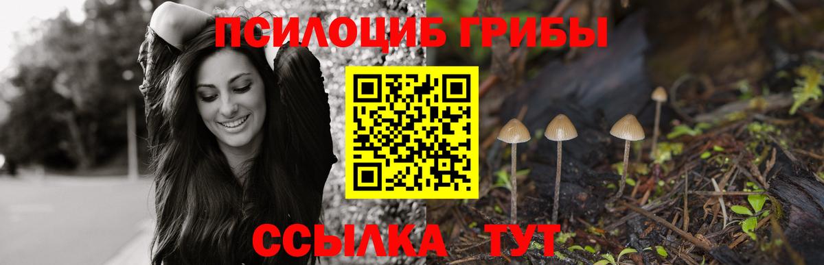 Углич  Псилоцибиновые грибы Psilocybine cubensis  Вход с VPN  Псилоцибиновые грибы MAGIC MUSHROOMS 